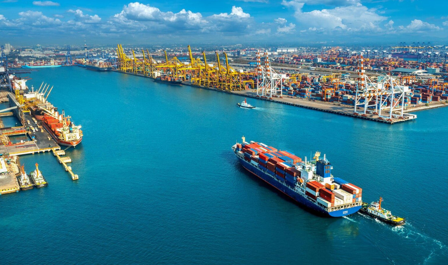 The Role of Bulk Carriers in Global Trade in 2025: Adapting to New Challenges and Opportunities
