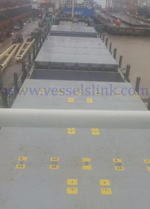 2011 Built 10000 DWT 724 TEU Container Ship For Sale