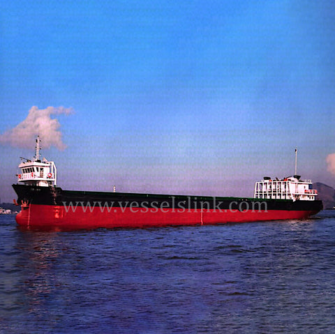 2010 Built 3000 DWT 203 TEU Container Ship For Sale