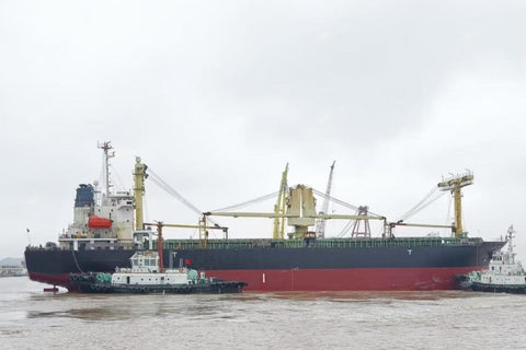 2009 Built 12000 DWT Bulk Carrier For Sale