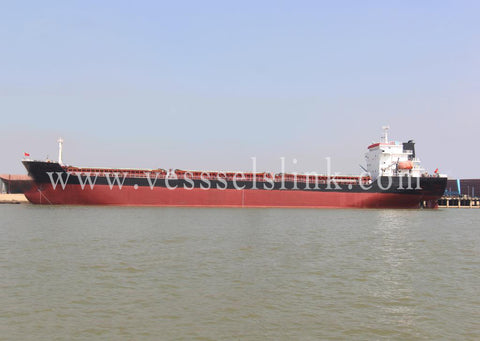 2021 Built 13000 DWT Bulk Carrier For Sale