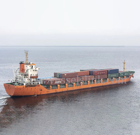 2005 Built 6300 DWT 263 TEU Container Ship For Sale