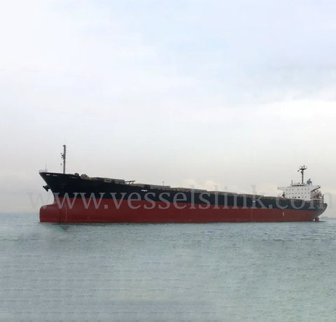 2008 Built 7300 DWT Bulk Carrier For Sale