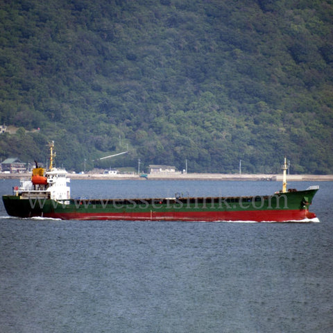 2016 Built 2700 DWT 144 TEU Container Ship For Sale