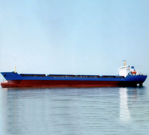 2019 Built 20000 DWT Cargo Ship For Sale