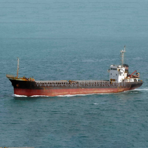 2009 Built 5000 DWT Bulk Carrier For Sale