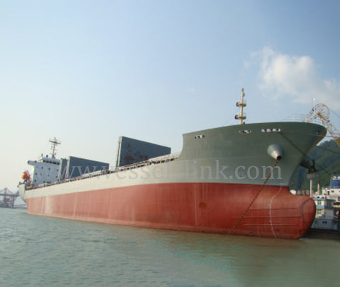 2009 Built 13000 DWT Cargo Ship For Sale