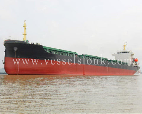 2017 Built 7100 DWT Bulk Carrier For Sale