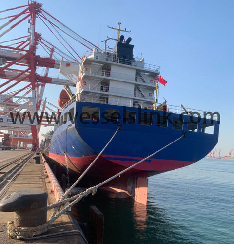 2023 Built 15000 DWT 812 TEU Container Ship For Sale