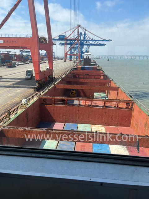 2018 Built 10000 DWT 816 TEU Container Ship For Sale