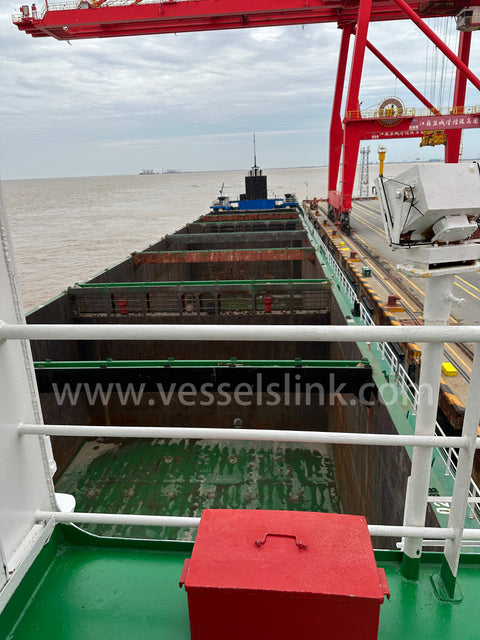 2018 Built 10000 DWT 816 TEU Container Ship For Sale