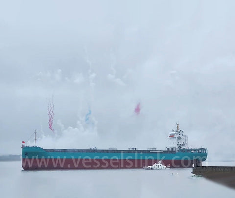 2024 Built 10000 DWT 660 TEU Container Ship For Sale