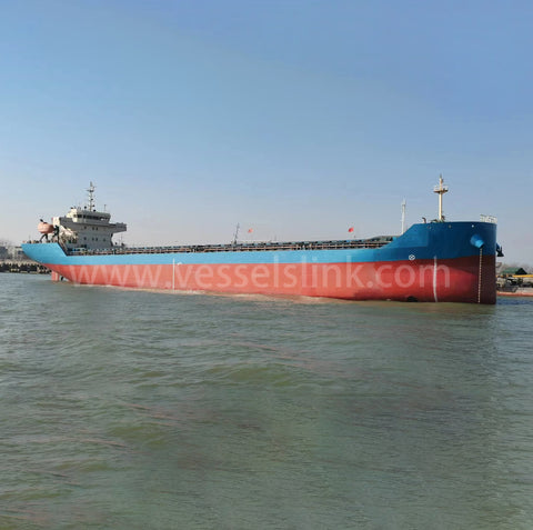 2020 Built 9800 DWT Bulk Carrier For Sale