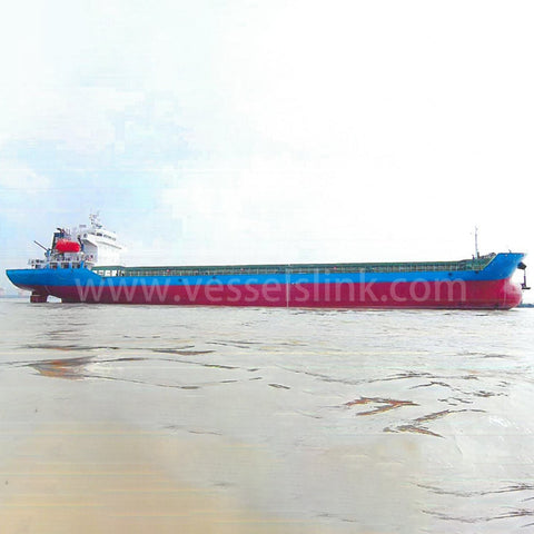 2019 Built 9800 DWT Bulk Carrier For Sale