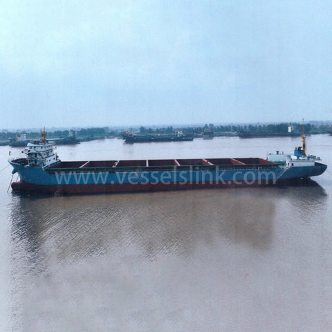 2023 Built 10000 DWT 738 TEU Container Ship For Sale