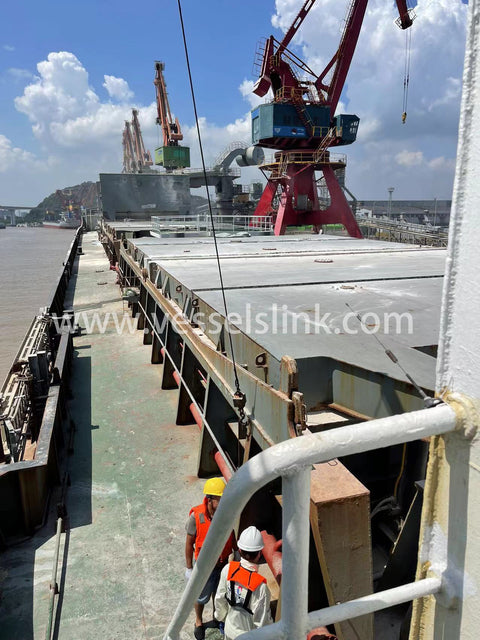 2010 Built 12000 DWT Bulk Carrier For Sale