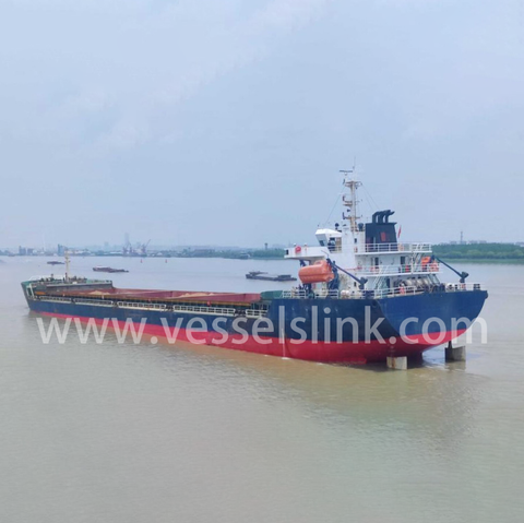 2020 Built 14000 DWT Bulk Carrier For Sale