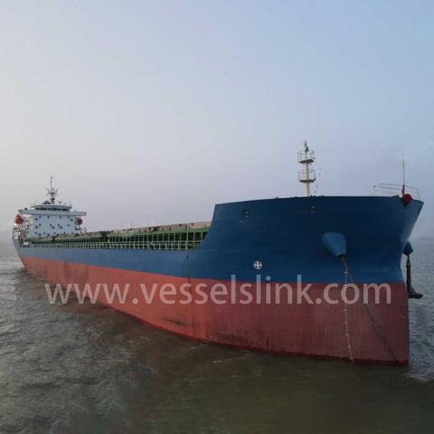 2022 Built 16000 DWT Bulk Carrier For Sale