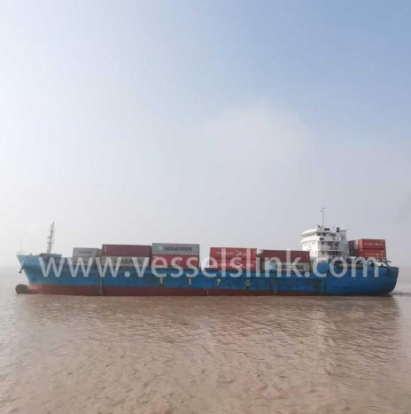 2007 Built 4000 DWT 260 TEU Container Ship For Sale