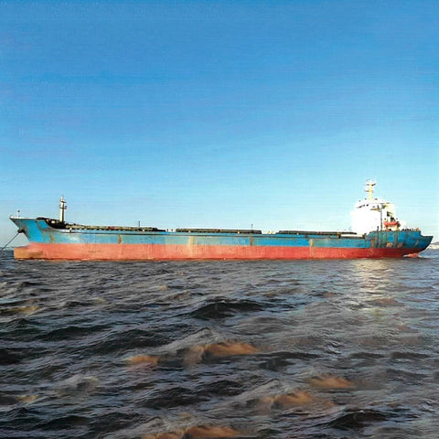 2009 Built 13300 DWT Bulk Carrier For Sale