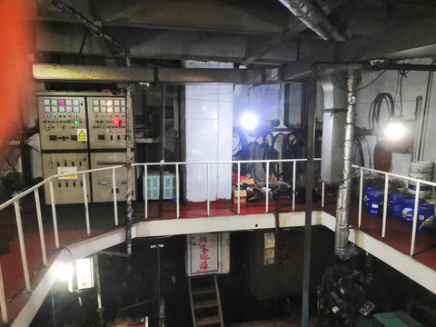2012 Built 2600 DWT 271 TEU Container Ship For Sale