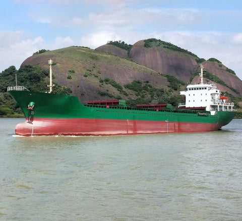 2009 Built 8600 DWT Bulk Carrier For Sale