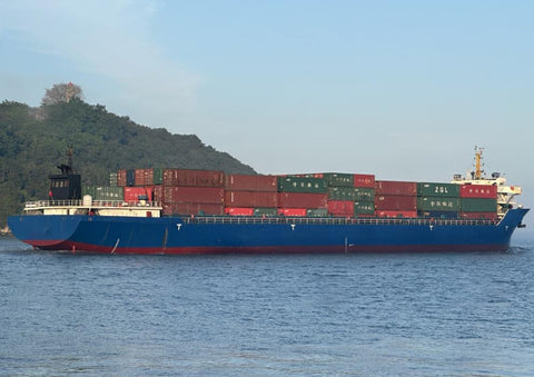 2019 Built 9800 DWT 816 TEU Container Ship For Sale