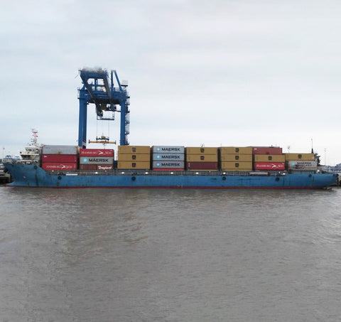 2019 Built 10000 DWT 816 TEU Container Ship For Sale