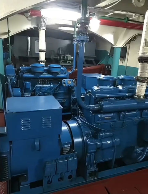 2019 Built RoRo Pax For Sale