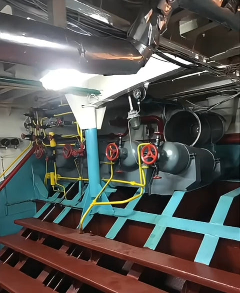 2019 Built RoRo Pax For Sale
