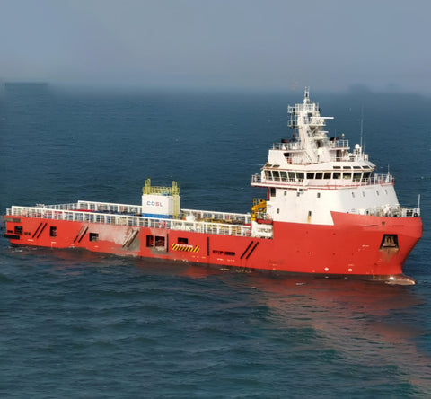 2019 Built 4150 DWT Offshore Supply Ship For Sale