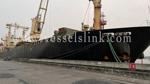 2011 Built 12000 DWT Bulk Carrier For Sale