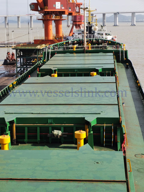 2009 Built 13000 DWT Bulk Carrier For Sale