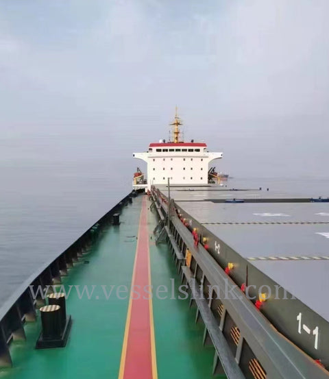 2019 Built 20000 DWT Cargo Ship For Sale