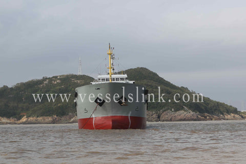 2013 Built 3500 DWT 269 TEU Container Ship For Sale