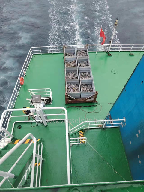 2011 Built 10000 DWT 724 TEU Container Ship For Sale